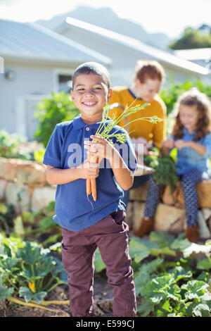 Boy holding bunch of carrots in garden Banque D'Images