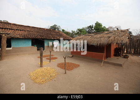 Tribal House typique, tribu, Kodopali Bhujiya Chattisgadh, Village, Inde Banque D'Images