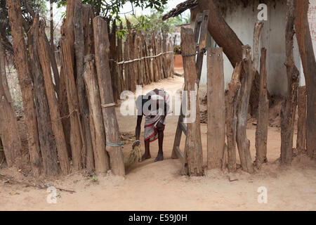 Vieille Femme balayant la cour tribale, Bhunjiya Kodopali tribu, Village, Chattisgadh, Inde Banque D'Images