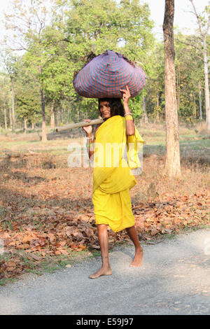 Les femmes tribales transporter le bois. Bhunjiya Kodopali tribu, Village, Chattisgadh, Inde Banque D'Images