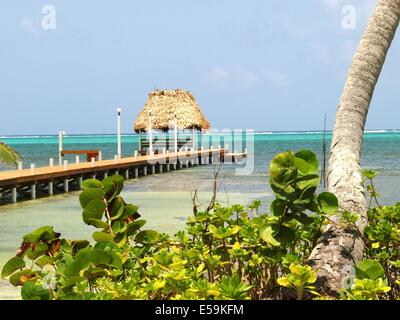 Un beau dock sur Ambergris Caye, Belize Banque D'Images