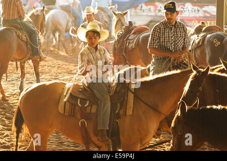 22 juillet 2014 - Avare, Sao Paulo, Brésil - Reportage sur un événement organisé par l'Association brésilienne de l'American Quarter Horse. L'événement a lieu en juillet de la 19e à la 27e en Avare, dans l'état de Sao Paulo, au Brésil. Dans cette édition il y a 5 400 entrées avec la participation de 2 500 American Quarter Horses. Il n'y aura plus de $1 000 000 $, près de 450 000 dollars des Etats-Unis, en prix. Le championnat national au plus grand événement de l'American Quarter Horse race au Brésil et fera la promotion des concours modalités 18. Avec le concours, il y a des ventes aux enchères. T Banque D'Images