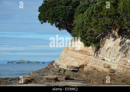 Petite falaise à l'extrémité sud de la plage de Takapuna, Auckland, Nouvelle-Zélande Banque D'Images