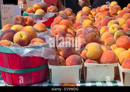 Pêches fraîches, Farmer's Market Banque D'Images