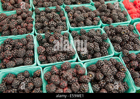 Farmer's Market mûres Banque D'Images
