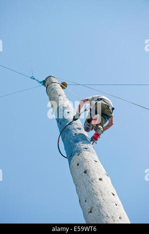 Llanelwedd, UK. 23 juillet 2014. 81-year-old George Tipping de Liverpool s'approche du haut de la 100 pieds (30,48 mètres) en pôle de la sylviculture. Un nombre record de visiteurs de plus de 240 000 sont attendus cette semaine au cours des quatre jours de l'Europe, plus grand salon de l'agriculture. Classes de bétail et prix spéciaux ont attiré plus de 8 000 entrées, 670 de plus que l'année dernière. Le tout premier Royal Welsh Show était à Aberystwyth en 1904 et a attiré 442 entrées de l'élevage. Credit : Graham M. Lawrence/Alamy Live News. Banque D'Images