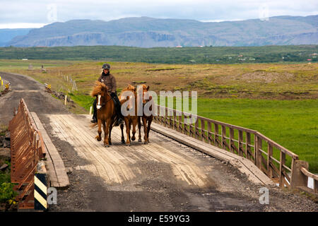 Jeune avec des Chevaux Islandais - Islande Banque D'Images