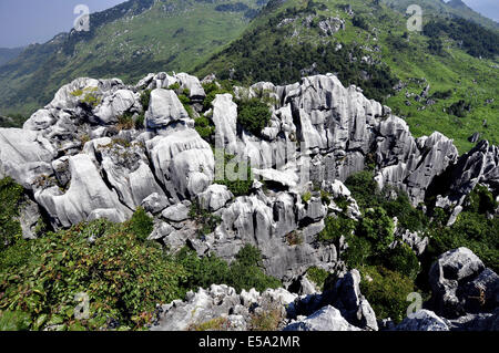 Leping, Jiangxi, CHN. 25 Septembre, 2011. JIANGXI, CHINE - 22 juillet : forêt de pierre dans la région de Mt.Wen Leping, province de Jiangxi en Chine. C'est une des merveilles du monde de 'nature'' et aussi appelé Shilin. Dans la forêt de pierre en pierre, se dressent les pics du sol dans de nombreuses couches comme des pousses de bambou, les forêts et les pagodes, beaucoup de visiteurs viennent d'avoir un regard sur la scène unique formé par les pierres.Les géologues estiment que la forêt de pierre est supérieur à 270 millions d'années. La zone utilisée pour être un océan. Au cours de la longue période géologique de la fin du Permien il y a 230 millions d'années à 2 millions d'années Banque D'Images