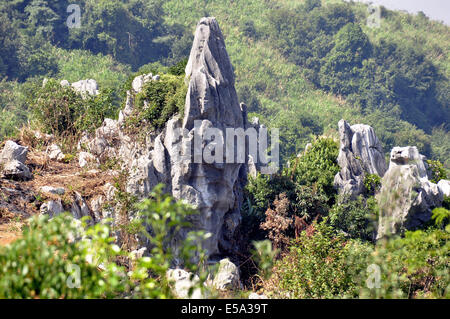 Leping, Jiangxi, CHN. 25 Septembre, 2011. JIANGXI, CHINE - 22 juillet : forêt de pierre dans la région de Mt.Wen Leping, province de Jiangxi en Chine. C'est une des merveilles du monde de 'nature'' et aussi appelé Shilin. Dans la forêt de pierre en pierre, se dressent les pics du sol dans de nombreuses couches comme des pousses de bambou, les forêts et les pagodes, beaucoup de visiteurs viennent d'avoir un regard sur la scène unique formé par les pierres.Les géologues estiment que la forêt de pierre est supérieur à 270 millions d'années. La zone utilisée pour être un océan. Au cours de la longue période géologique de la fin du Permien il y a 230 millions d'années à 2 millions d'années Banque D'Images