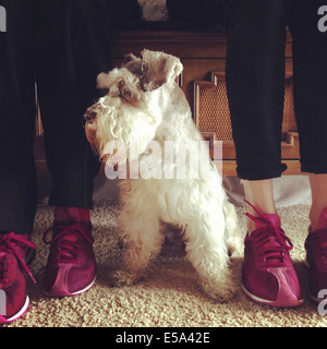 Grand-mère et petite-fille de chaussures avec chien