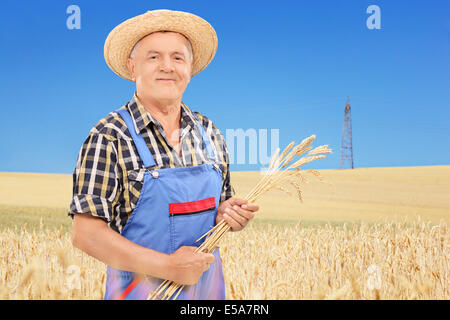 Young farmer holding pailles de blé dans un champ avec ciel bleu clair à l'arrière-plan Banque D'Images