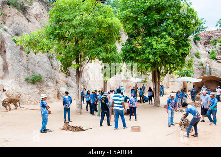 Les touristes qui posent avec les tigres au Tiger Temple le 23 mai 2014 à Kanchanaburi, Thaïlande. Banque D'Images