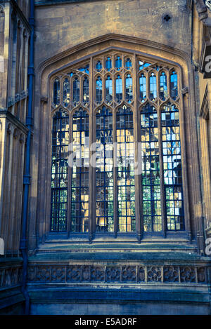 Divinity School, fenêtre gothique, Bodleian Library, Oxford, England, UK Banque D'Images