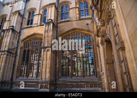 Divinity School, 15e siècle, dans le style perpendiculaire, Bodleian Library, Oxford, England, UK Banque D'Images