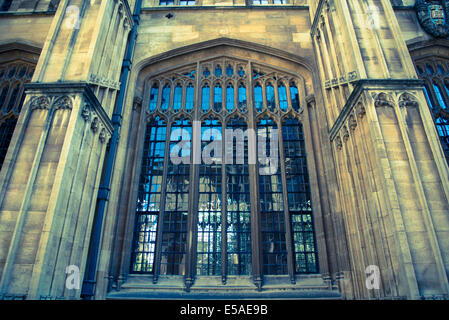 Divinity School, fenêtre gothique, Bodleian Library, Oxford, England, UK Banque D'Images