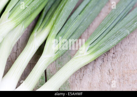 Close up oignons de printemps sur le bois brut Banque D'Images