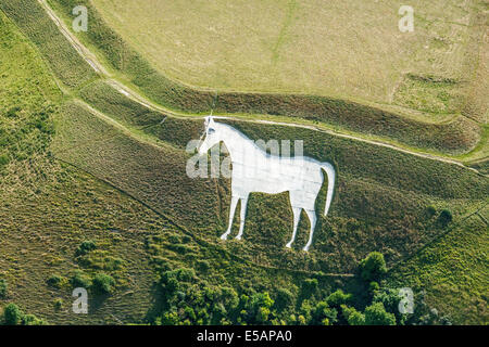 Vue aérienne Westbury White Horse au Camp Bratton, Wiltshire, Royaume-Uni. JMH6197 Banque D'Images