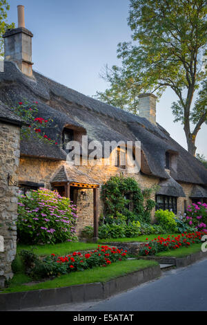 Toit de chaume cottage dans vaste Campden, les Cotswolds, Gloucestershire, Angleterre Banque D'Images