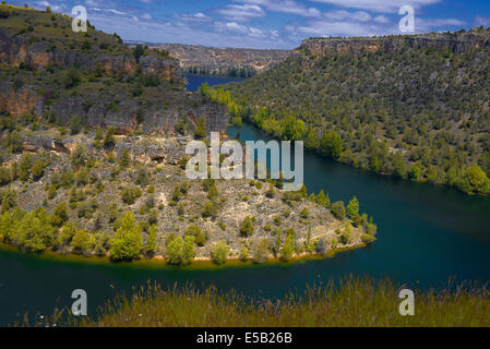 Hoces del Duraton, Duraton, gorges de la rivière Rio Hoces del Duraton Parc Naturel, Sepulveda, province de Ségovie, Espagne, Castille-León Banque D'Images