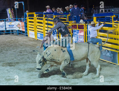 Cowboy participant à une compétition à la monte de taureau Helldorado days Banque D'Images