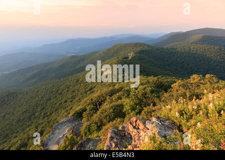 Skyline Drive et Shenandoah National Park, Virginia, USA Banque D'Images