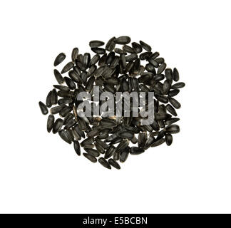 Les graines de tournesol noires pour jardin mangeoire pour oiseaux Banque D'Images