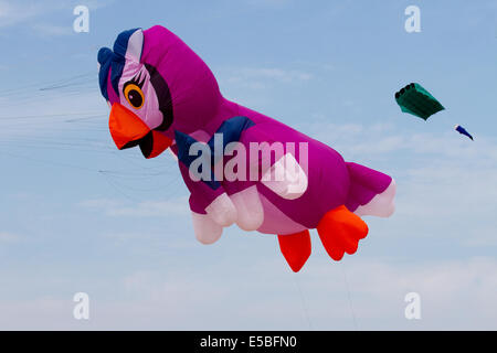 Lytham St Annes, Blackpool, 26 juillet 2014. Perroquet gonflé volant au festival de kite de Saint-Annes. Les cieux au-dessus du bord de mer de St Annes étaient inondé de couleurs, car de fabuleux cerfs-volants d'affichage ont pris l'air sur la plage adjacente à la jetée. Le festival a présenté des cerfs-volants à une seule ligne de toutes formes et de toutes tailles, y compris des vaches volantes, des raies de Manta, un ours en peluche géant, ainsi que des cerfs-volants à deux lignes et quatre lignes. Banque D'Images