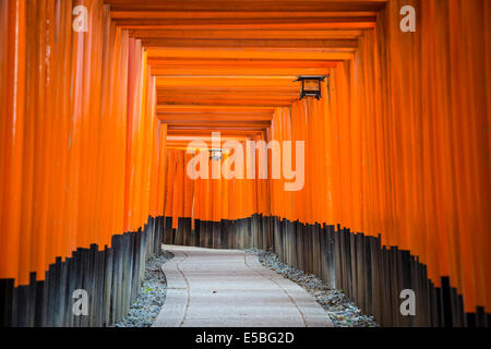 Fushimi Inari Taisha torii gates à Kyoto, au Japon. Banque D'Images