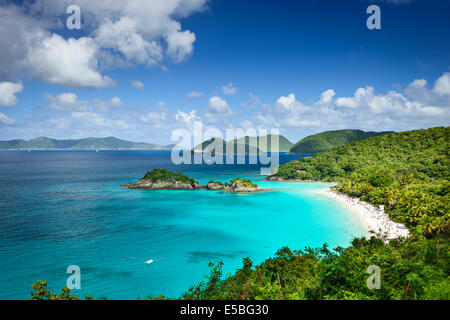 St John, US Virgin Islands à Trunk Bay. Banque D'Images