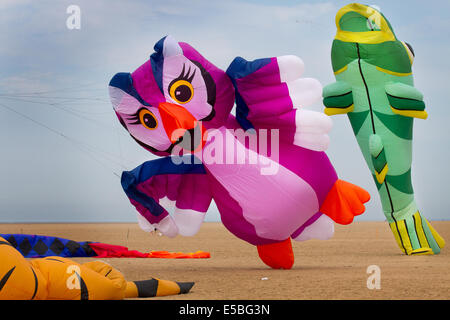 Lytham St Annes, Blackpool, 26 juillet, 2014. Parrot gonflés à la St Anne's flying kite festival. Le ciel au-dessus de St Annes front ont été inondé de couleur que l'affichage fabuleux kites a pris à l'air sur la plage adjacente à l'embarcadère. Le festival a présenté une seule ligne les cerfs-volants de toutes formes et tailles, y compris les vaches de vol, les raies manta, un ours en peluche géant, chiens et même des hippopotames avec 2 lignes et 4 lignes sur roues. Banque D'Images