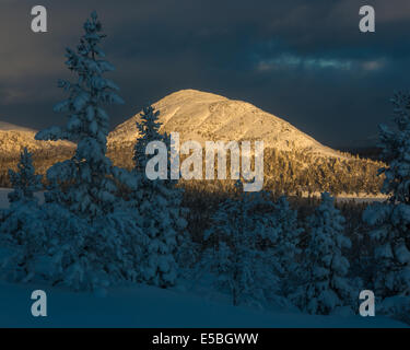 La lumière du soleil sur la neige montagne avec arbres gelés en hiver Banque D'Images