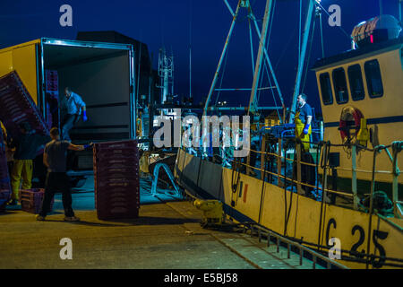 Chalutier de pêche de capture de son atterrissage en soirée twilight à Howth Pier, Dublin, République d'Irlande. Banque D'Images