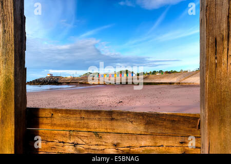 Dawlish Warren Beach Banque D'Images