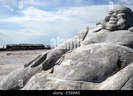 La Chine, l' établissement "Wulan la Province de Qinghai. 26 juillet, 2014. Un train passe à proximité d'une sculpture à la région pittoresque de l' établissement "Wulan Chaka Salt Lake County, au nord-ouest de la province de Qinghai en Chine, le 26 juillet 2014. © Wang Song/Xinhua/Alamy Live News Banque D'Images