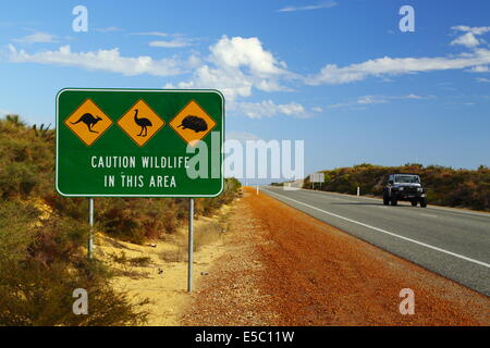 Panneaux d'avertissement de la faune le long d'une autoroute à l'ouest de l'Australie - kangourou, l'émeu, l'échidné. Banque D'Images