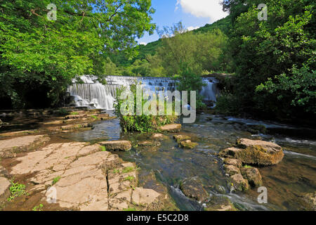 Weir sur la rivière Wye dans Dale Monsal, Derbyshire, Peak District National Park, Angleterre, Royaume-Uni. Banque D'Images