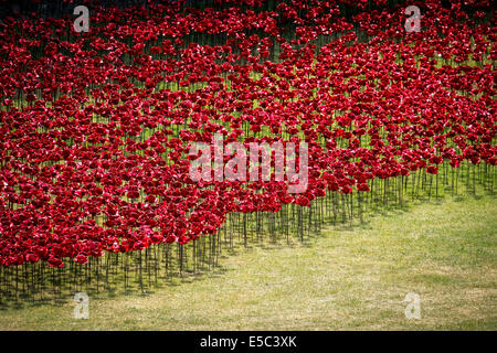 26 Juillet 2014 : coquelicots en céramique plantés dans le fossé sec à la Tour de Londres dans le cadre d'une installation artistique majeur intitulé Blood a balayé les terres et les mers de rouge.' Photographe : Gordon 1928/Alamy Live News Banque D'Images