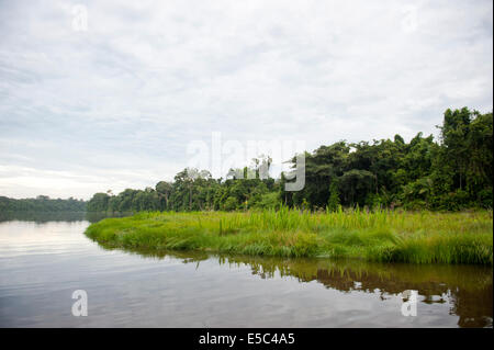 Une vue sur la rivière Tambopata en Province de l'Amazonie. Banque D'Images