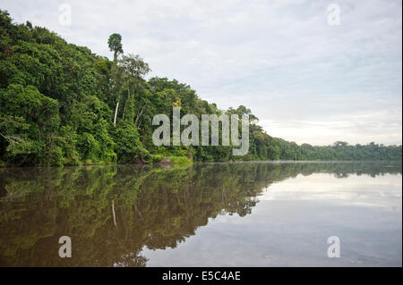 Une vue sur la rivière Tambopata en Province de l'Amazonie. Banque D'Images