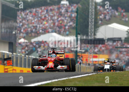 Budapest, Hongrie. 27 juillet, 2014. Sport Automobile : Championnat du Monde de Formule 1 de la FIA 2014, Grand Prix de Hongrie, # 14 Fernando Alonso (ESP, la Scuderia Ferrari), Crédit photo : dpa alliance/Alamy Live News Banque D'Images