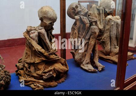 Mummys de Leymebamba - Musée de CHACHAPOYAS . Ministère de l'Amazonas .Pérou , Banque D'Images