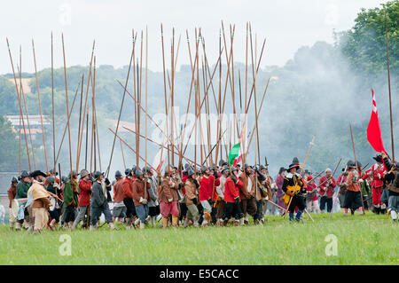 Marlborough, Royaume-Uni. 27 juillet 2014. La guerre civile anglaise Society adopter de nouveau la bataille de Marlborough sur la commune. Credit : Graham M. Lawrence/Alamy Live News. Banque D'Images