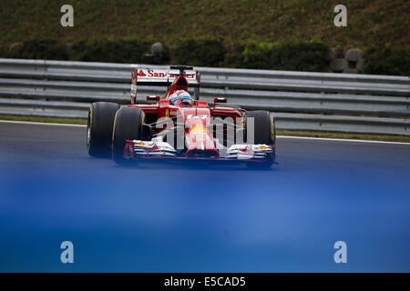 Budapest, Hongrie. 27 juillet, 2014. FERNANDO ALONSO, de l'Espagne et la Scuderia Ferrari de Formule 1 disques durs pendant le Grand Prix de Hongrie 2014 sur le Hungaroring à Budapest, Hongrie. Credit : James/Gasperotti ZUMA Wire/Alamy Live News Banque D'Images