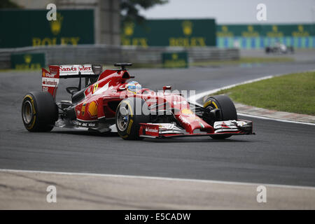 Budapest, Hongrie. 27 juillet, 2014. FERNANDO ALONSO, de l'Espagne et la Scuderia Ferrari de Formule 1 disques durs pendant le Grand Prix de Hongrie 2014 sur le Hungaroring à Budapest, Hongrie. Credit : James/Gasperotti ZUMA Wire/Alamy Live News Banque D'Images