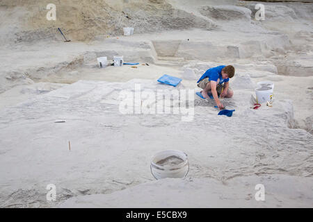 Ashfall lits fossiles Banque D'Images