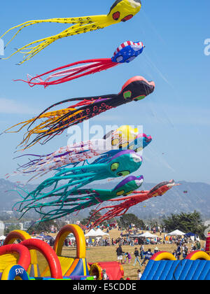 BERKELEY, CA/USA - Le 26 juillet 2014 : Des centaines de cerfs-volants de toutes tailles sont pilotés par des amateurs et professionnels à Cezar Chavez moy Park Banque D'Images