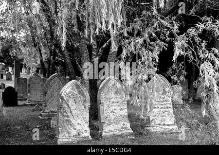 Pierres tombales anciennes des années 1800 se retrouvent dans ce cimetière à Cape Cod, Massachusetts (MA), États-Unis. B&W image. Banque D'Images