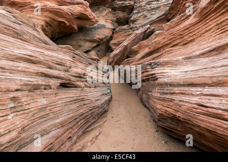 Début d'une petite fente canyon, Glen Canyon, Arizona Banque D'Images