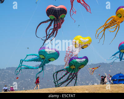 BERKELEY, CA/USA - Le 26 juillet 2014 : Des centaines de cerfs-volants de toutes tailles sont pilotés par des amateurs et professionnels à Cezar Chavez moy Park Banque D'Images