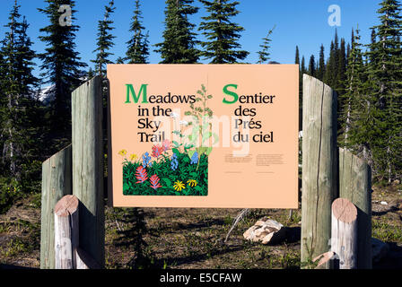 Elk203-2444 Le Canada, la Colombie-Britannique, le parc national du Mont-Revelstoke, Meadows dans le ciel trail, sign Banque D'Images